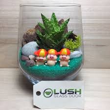 Adorable Three Little Pigs Themed Succulents Terrarium Succulent Terrarium Succulents Decor Succulents