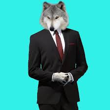 The lifelike wolf drawings on the templates are absolutely breathtaking. Not A Wolf Sickofwolves Twitter