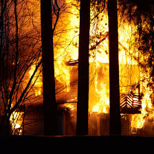 Über 7 millionen englische bücher. Opinion If Forests Were Meant To Burn Why Not The Houses In Them