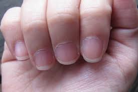 Maybe you would like to learn more about one of these? Pin On Hair And Beauty