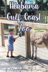 Alabama Gulf Coast Zoo Albeachblogger Gulf Shores Alabama Trip To The Zoo Full Time Rv Living Campe Gulf Shores Alabama Alabama Gulf Coast Zoo Gulf Shores Zoo