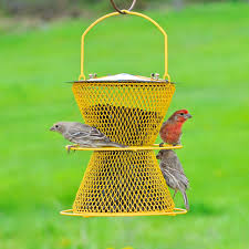 Bird Feeders For Small Birds Amazon Perkypet Dshg00387 No No Designer Double Wild Bird Feeder With Perch Rings Read More At The Squirrel Resistant Bird Feeders Wild Bird Feeders Bird Feeders