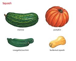 The pumpkin puree can also be frozen for up to 3 months in a resealable plastic bag. Pumpkin Noun Definition Pictures Pronunciation And Usage Notes Oxford Advanced Learner S Dictionary At Oxfordlearnersdictionaries Com