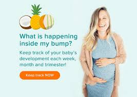 Check spelling or type a new query. Foods To Avoid During Pregnancy Pampers