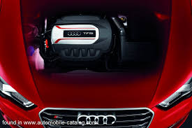 Image result for Beluga Brown 2014 S3