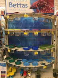 Whatever betta tank styles you want. Petsmart On Twitter Also They Prevent These Fish From Fighting Each Other To Properly Maintain These Containers We Clean Them Twice Weekly Or More Frequently If Necessary Lh Https T Co 5gzledax6l