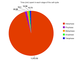 We did not find results for: Mitosis Lab William0912