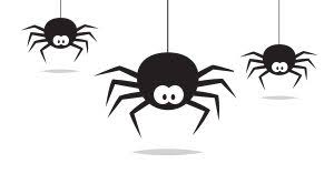 25 Interesting Facts About Spiders Arrow Exterminating
