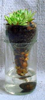 Growing flowers in wine bottles. Self Watering Succulent Planter Cool House Ideas Plants How To Water Succulents Planting Succulents