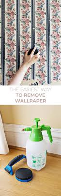 It runs on regular household current and comes with all accessories, including an instruction video. Simple Wallpaper Removing Tips A Beautiful Mess