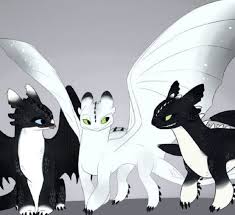 Pin By Akron Ohio On 0 0 How To Train Dragon How Train Your Dragon How To Train Your Dragon