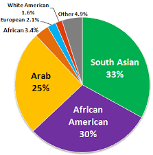 Race Vs Ethnicity By Basel Alsarraf Infographic