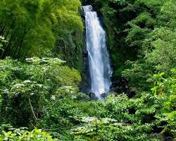 Immagine di Trafalgar Falls, Dominica
