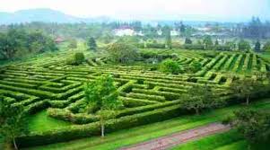 Biaya masuk taman labirin cempaka spf 1607716768190 xcvanish : Harga Tiket Masuk Taman Bunga Nusantara Terbaru Mei 2021