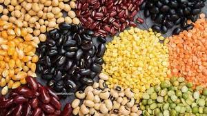For certain exported food products, some foreign food safety authorities require certification in the form of publicly available lists of eligible exporters. Most Exported Food Products From India Pisum Foods