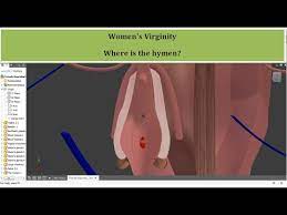 Women's Virginity! When Did You Lose Your Virginity, Hymen Embryogenesis,  First Time Sex - Youtube