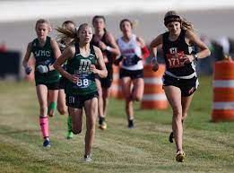 Kalamazoo-area runners aim for strong finish at 2022 cross country state  finals - mlive.com