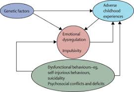 Image result for Personality Disorder