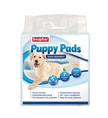 puppy pads puppy training puppy s puppy