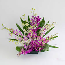 Read reviews from world's largest community for readers. Okika Orchids Hawaiian Flower Assortments With Added Greens