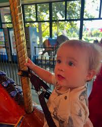 Shannon Standish IFBB pro