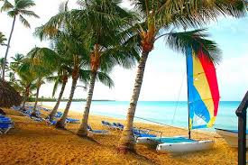 pin on caribbean and tropical style