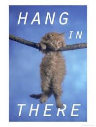 I can't seem to get things done right. 10 Hang In There Ideas Cute Animals Kitty Hanging