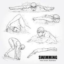 Stock Image The Arts Swimming Tattoo Figure Sketching Drawings