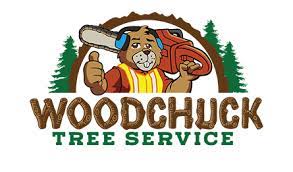 Pin By Joshua Michaud On Logo Inspiration Tree Company Tree Service Logo Inspiration Tree Tree Company