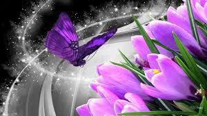 Bunga aneh dan unik ini adalah psychotria elata atau lebih dikenal dengan nama the kissing flower atau bunga ciuman. Purple Crocus Sparkle Hd Desktop Wallpaper Widescreen High Definition Fullscreen