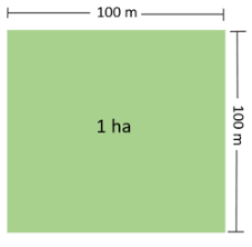 1 are = 100 meter persegi luas lapangan sepak bola = 100 m x 60 m = 6000 meter persegi, konversikan ke hektar, maka = 6000:10.000 = 0,6 hektar. 1 Hektar Berapa Meter Pengertian Rumus Dan Contoh Soal
