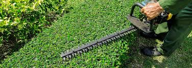 Landscaper jobs hiring now in 2019. Landscaping Jobs Myrtle Beach Lawn Maintenance Beach Landscaping