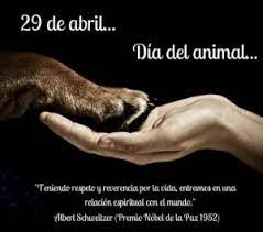 Ingresá a nuestro sitio para estar siempre al día. 29 De Abril Dia Del Animal La Nueva Senda Noticias De Casilda