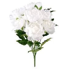 Check spelling or type a new query. Find The White Peony Bush By Ashland At Michaels