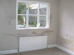 Select from premium getting wet of the highest quality. How To Treat Wet Walls In Your House Remedies For Damp And Cold Walls Diy Doctor