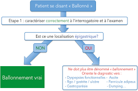 Un cran de moins à la ceinture, un peu plus de fibres dans l'assiette et ça repart ! Ballonnement La Terreur Du Gastroenterologue Comment Etre Efficace Fmc Hge