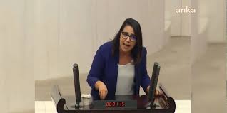 Saliha sera kadıgil sütlü (d. Tbmm De Buyuk Tartisma Akp Li Muhammet Emin Akbasoglu Na Chp Li Sera Kadigil Den Olay