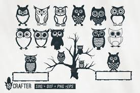 Download Cute Owl Character Bundle Graphic By Great19 Creative Fabrica SVG Cut Files