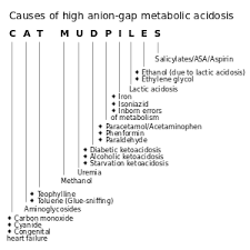 What is an anion gap? High Anion Gap Metabolic Acidosis Wikipedia