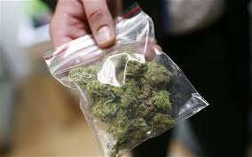 Resultado de imagen para marihuana
