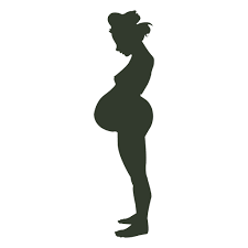 Download Pregnant Woman Silhouette Naked Transp 1173905 Png Images Pngio