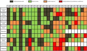 Bonne année 2018 avec grands vins de bordeaux ! Millesimes Des Vins De France