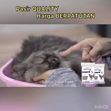 Makanan ini bisa sebagai pengganti. Clumplus Multi Cat Home Facebook