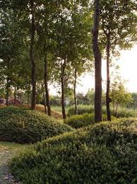 Jardin De Montreal A Shanghai Claude Cormier Associes Landscapearchitecture Landscape Design Landscape Landscape Architecture