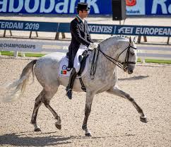 Está abierto a proyectos de arte electrónico, computación física, desarrollo web, procesamiento y transmisión de. Portugal S Rodrigo Torres Fogoso Log Personal Best Score To Win Lisbon Cdi3 Grand Prix Special Dressage News