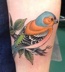 Brad stevens is a brooklyn based tattoo artist who specializes in american traditional and japanese style tattooing. 38 Brad Stevens Tattoo Ideas Brad Tattoos Steven