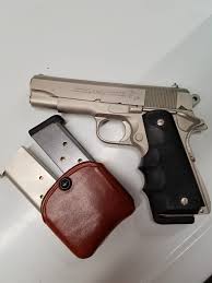 Image result for Grace Silver 1991 Colt