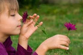 Les Fleurs De Bach Pour Les Enfants Etre Soi Meme Fleurs De Bach Fleur De Bach Enfant Fleurs