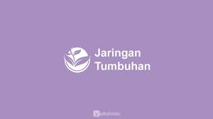 Struktur dan fungsi jaringan pada tumbuhan. Lengkap Jaringan Tumbuhan Pengertian Ciri Ciri Sifat Struktur