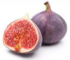 Thanks to the excellent climate but fresh figs are available only during the harvest season. Fig Definition And Meaning Collins English Dictionary